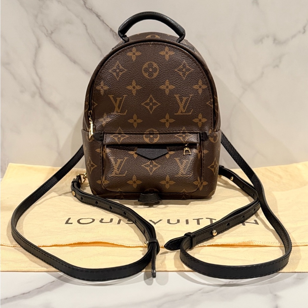 Louis Vuitton Palm Springs Mini